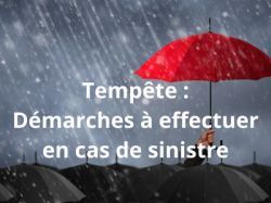 Tempte Ciaran : Dmarches  effectuer en cas de sinistre